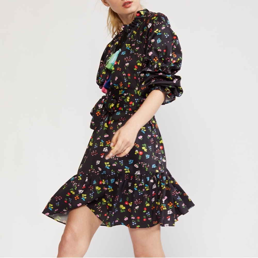 Cynthia Rowley Betty Tassel Dress.Large. Worn once time for a party,like new